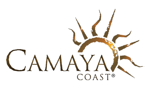 Camaya Coast Real Properties